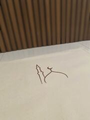 Cami Desenli Keten Seccade