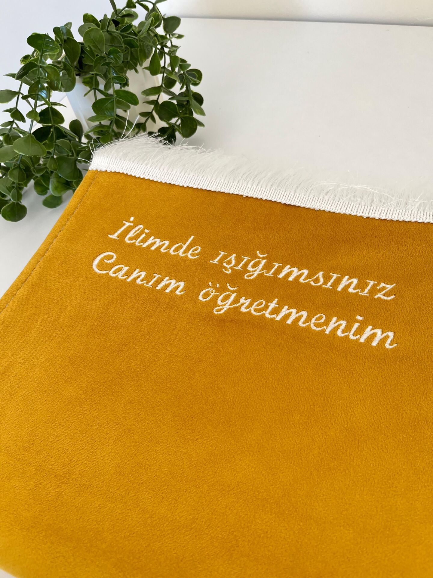 Hardal Sarısı Canım Öğretmenim